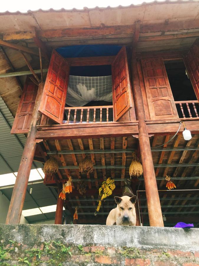 Shan Tea Homestay Ha Giang Dış mekan fotoğraf
